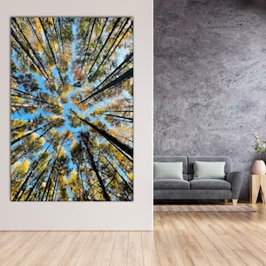 Foto di alberi che guardano in alto, stampa di natura, arte murale, cielo azzurro, paesaggio, pini alti, tela, decorazione boho, fotografia del bosco, regalo panoramico