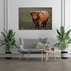 Arte murale con mucca delle Highlands Stampa di bovini scozzesi Decorazione rustica da fattoria Stampa fotografica di mucca Poster di animali della natura Arte naturalistica accogliente Stile boho