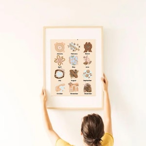 Indigenous Birthday Chart, Classroom birthday display, children&#39;s birthdays.