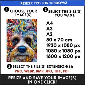Peut inclure: Une illustration colorée d'un visage de chien avec une crinière arc-en-ciel. L'image sert à illustrer un logiciel de redimensionnement d'images. Le texte sur l'image indique "Resizer Pro pour Windows !" et comprend des instructions pour choisir une image, sélectionner une taille et choisir un type de fichier. Les tailles répertoriées incluent A4, A3, A2, 50 x 70 cm, 1920 x 1080 px, 1080 x 1080 px et 1600 x 1200 px. Les types de fichiers répertoriés incluent PNG, WEBP, BMP, JPG, TIFF et PDF.