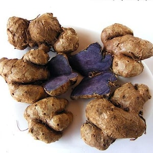 May include: A collection of brown, knobbly tubers, some whole and others cut open to display a striking purple flesh. The tubers are presented on a white surface, highlighting their contrasting colours and textures.