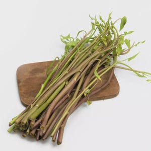 Peut inclure: Un bouquet d'épinards d'eau frais, avec des feuilles vertes et des tiges violettes-vertes, repose sur une petite planche à découper en bois rectangulaire. Le légume est prêt à être cuisiné. Le fond est blanc uni.