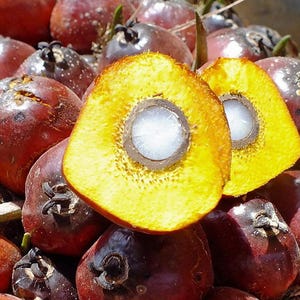 Könnte beinhalten: Nahaufnahme eines Haufens Palmfrucht. Eine aufgeschnittene Frucht zeigt ein gelbes Inneres und einen weißen Samen. Die anderen Früchte sind dunkelrotbraun mit einem schwarzen Stiel.