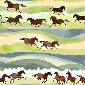 Horses in fields