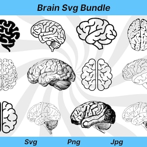 May include: A set of 10 brain SVG files in various styles, including black and white outlines, detailed anatomical drawings, and simplified representations. The files are perfect for use in crafts, design projects, and educational materials.