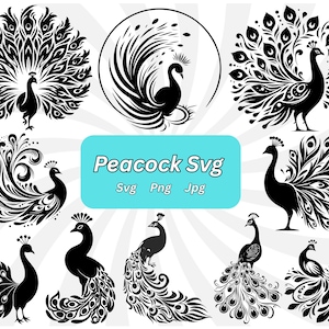 Peut inclure: Plusieurs illustrations de paons noirs et blancs dans diverses poses. Certains paons ont leurs plumes de queue déployées, d'autres sont de profil. Le texte "Peacock Svg" est affiché dans un rectangle bleu clair, avec "Svg Png Jpg" en dessous.