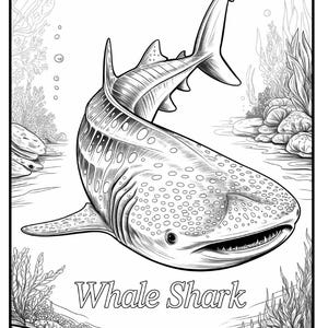 May include: Black and white illustration of a whale shark swimming underwater. The image features detailed linework, showcasing the shark's spotted pattern and fins. The text "Whale Shark" is at the bottom of the image, surrounded by aquatic plants.