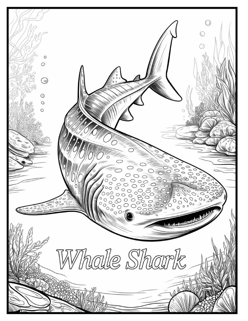 May include: Black and white illustration of a whale shark swimming underwater. The image features detailed linework, showcasing the shark's spotted pattern and fins. The text "Whale Shark" is at the bottom of the image, surrounded by aquatic plants.