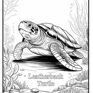 May include: Black and white illustration of a Leatherback Turtle in its natural habitat. The turtle is the focal point, surrounded by aquatic plants, rocks, and bubbles. The text "Leatherback Turtle" is displayed below the turtle.