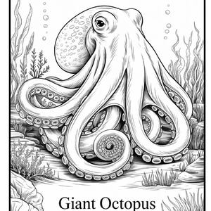 May include: Black and white illustration of a giant octopus. The octopus has a large head with many suckers on its tentacles. The image includes bubbles, seaweed, and rocks, with the words "Giant Octopus" at the bottom.