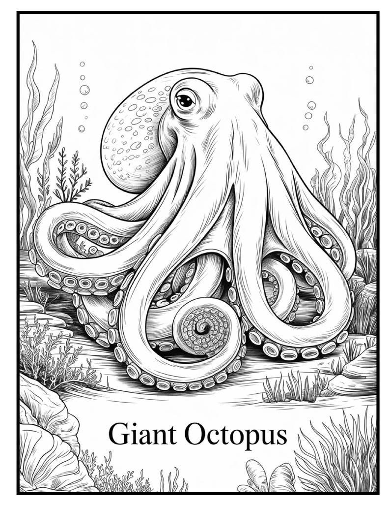 May include: Black and white illustration of a giant octopus. The octopus has a large head with many suckers on its tentacles. The image includes bubbles, seaweed, and rocks, with the words "Giant Octopus" at the bottom.