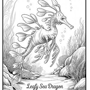 May include: Black and white illustration of a leafy sea dragon swimming in an underwater scene. The image features detailed line art of the sea dragon, seaweed, rocks, and bubbles. The text "Leafy Sea Dragon" is at the bottom.