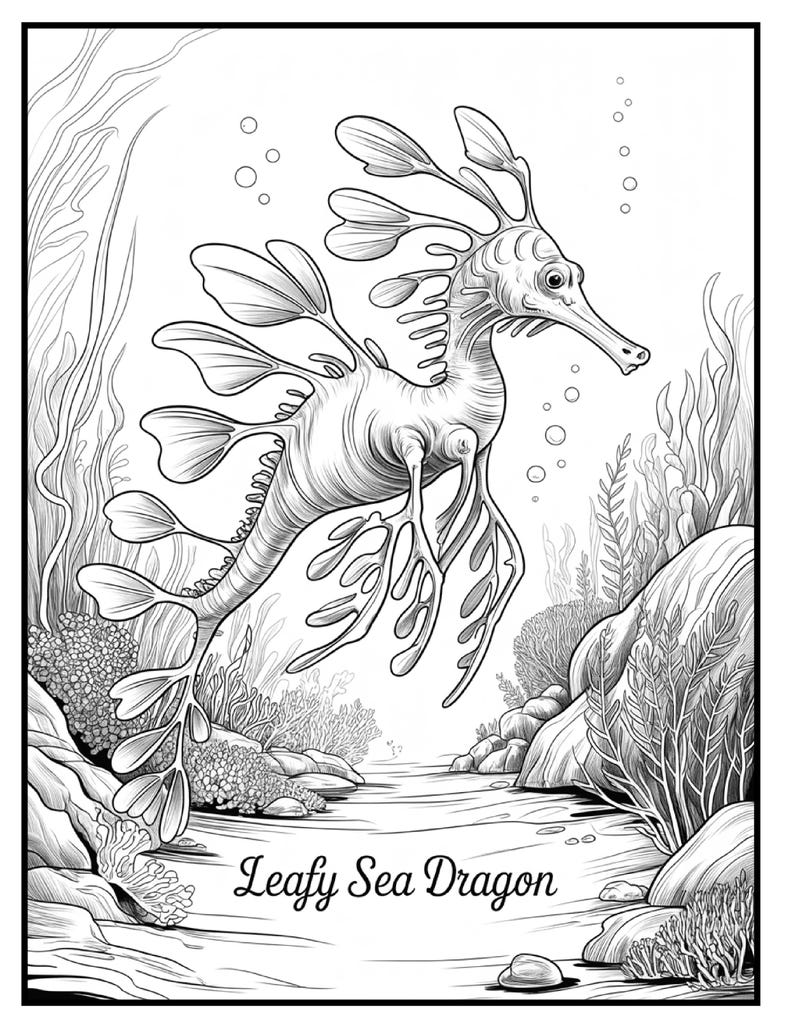 May include: Black and white illustration of a leafy sea dragon swimming in an underwater scene. The image features detailed line art of the sea dragon, seaweed, rocks, and bubbles. The text "Leafy Sea Dragon" is at the bottom.