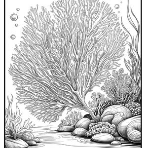 May include: Black and white illustration of a sea fan, also known as gorgonian coral, with detailed lines. The image includes rocks, other coral, and aquatic plants. The text "Sea Fan (Gorgonian Coral)" is at the bottom.