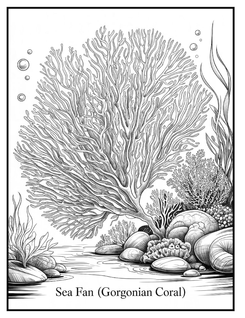 May include: Black and white illustration of a sea fan, also known as gorgonian coral, with detailed lines. The image includes rocks, other coral, and aquatic plants. The text "Sea Fan (Gorgonian Coral)" is at the bottom.