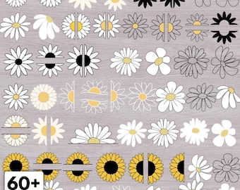Pakiet Daisy SVG, projekty Daisy Flower SVG dla Cricut, pliki do wycinania clipartów dla Cricut, pliki do wycinania wektorów, wiosenne pliki SVG, letnie pliki SVG, clipart Daisy