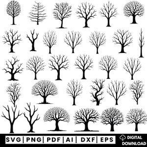 Könnte beinhalten: Eine Sammlung schwarzer Baum-Silhouetten in verschiedenen Formen und Größen. Die Bäume sind kahl, mit komplizierten Astmustern. Das Bild enthält Dateiformatoptionen: SVG, PNG, PDF, AI, DXF und EPS, mit einem digitalen Download-Symbol.