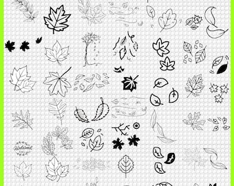 Leaves SVG Bundle, Monstera, Palm Branch, Jungle Clipart (svg, png, dxf)