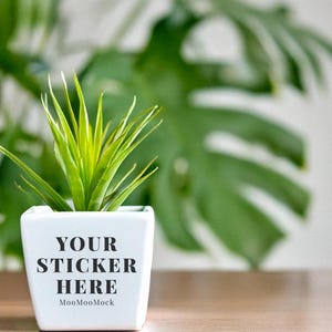 May include: A small, square white ceramic pot with a green plant. The pot has the text "YOUR STICKER HERE" in black. The background features a large green leaf and a wooden surface.