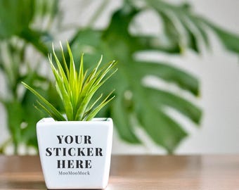 Plant Pot Sticker Mockup - Canva Drag and Drop (Digital Download, PNG File)