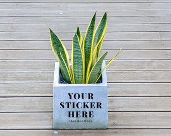 Plant Pot Sticker Mockup - Canva Drag and Drop (Digital Download, PNG File)