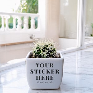 May include: A small, green cactus with white spines in a square, white ceramic pot. The pot has the text "YOUR STICKER HERE" printed on the front. The pot is sitting on a marble surface near a window.