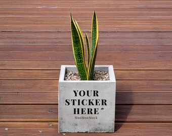 Plant Pot Sticker Mockup - Canva Drag and Drop (Digital Download, PNG File)