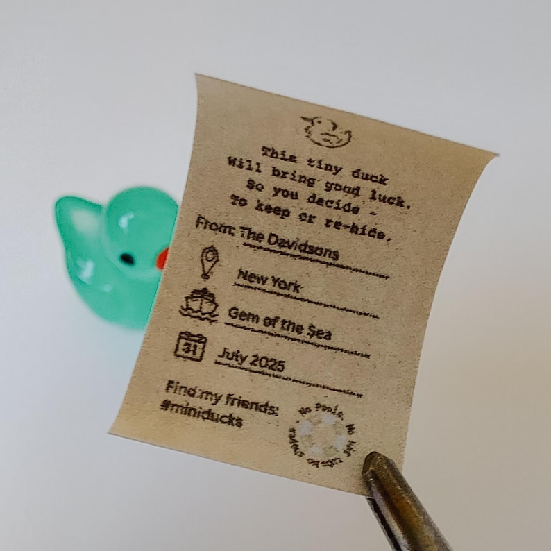K&ouml;nnte beinhalten: Eine t&uuml;rkisfarbene Quietscheente mit rotem Schnabel neben einem kleinen, gealterten Papiernotiz. Die Notiz lautet: "Diese kleine Ente wird Gl&uuml;ck bringen. Also entscheiden Sie - behalten oder verstecken." Sie enth&auml;lt auch den Text "Von: The Davidsons, New York, Gem of the Sea, Juli 2025."