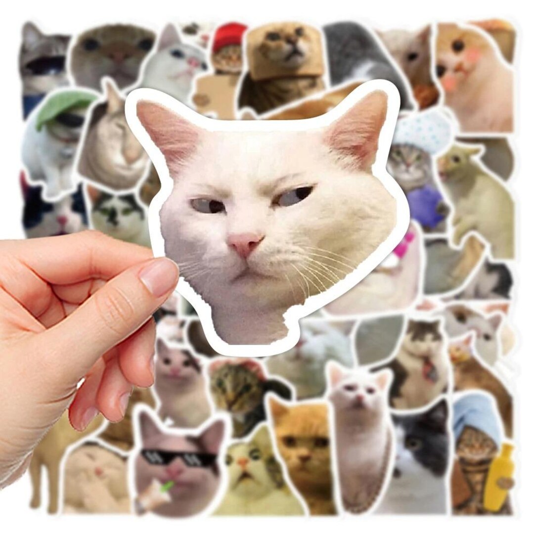 Funny Cat Meme Stickers - Waterproof Vinyl Decals for Laptop, Phone - Etsy
