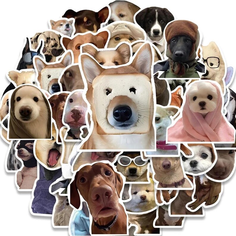 10/30/50pcs Kawaii Cute Cartoon Dog Meme Stickers Funny Graffiti Decals ...