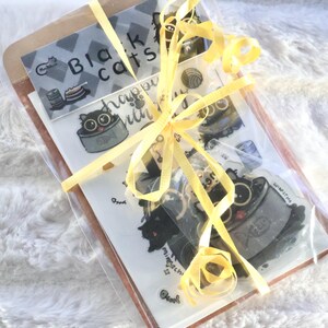 Ensemble d'anniversaire chat noir - comprend une carte d'anniversaire, une carte postale, un porte-clés et des autocollants