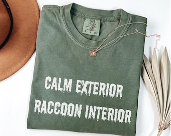 Rustige buitenkant wasbeer interieur shirt, grappig introverte meme-T-shirt, grappig grafisch T-shirt Trash Panda, shirt sarcastisch citaat, cadeau wasbeerliefhebber