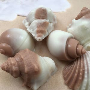 Shell Shaped Soap | 6 Shell Soaps | Sample Soap Set | Beach Themed Soap | Gift for Her | Hostess Gift | Ocean Themed Soap | Seashell Soap