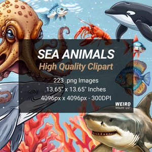 223 Sea Animals Clipart, High Quality Transparent PNG, Instant Download, Commercial Use - Sea Creature, Fish, Shark Clipart, Octopus Clipart