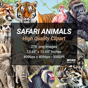 276 Safari Animals Clipart, High Quality Transparent PNG, Instant Download, Commercial Use - Safari, Lion, Elephant, Tiger Clipart, Monkey