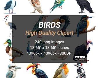 240 imágenes prediseñadas de pájaros, PNG transparente de alta calidad, descarga instantánea, uso comercial: imágenes prediseñadas de pájaros, petirrojo, águila, pájaro carpintero, pingüino