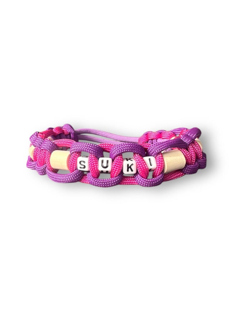 em-Keramik Halsband, in rosa, lila und pink, zeckenabwehr mit personalisierteren Details