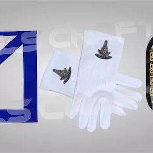 Masonic Blue Lodge Past Master Apron chain collar and gloves