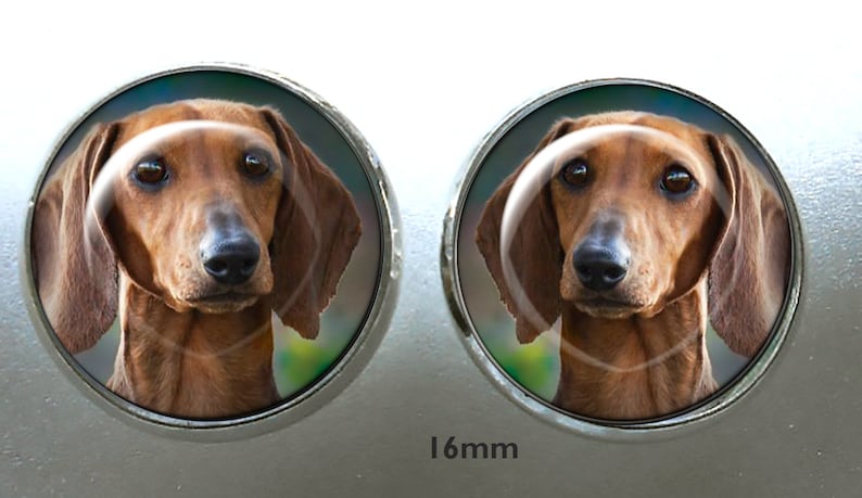 CUSTOM Dog or Cat Post Earrings ~ From Your Pet Photos ~ Pet Jewelry ~ June Birthday ~ Pet Keepsake ~ Teacher gift