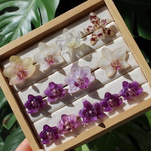 Real orchid flower rings, adjustable size, handmade