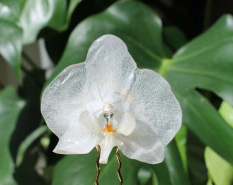 Acessório para cabelo: flor de orquídea branca verdadeira, pente para cabelo.