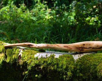 Hand geschnitzter Zedernwurzel Zauberstab: Pagan Ritual Werkzeug, aus ethischer Sicht
