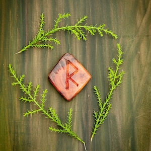 Può includere: Una runa di legno con la lettera "R" intagliata, circondata da ramoscelli verdi, su uno sfondo di legno verde scuro. La runa è di colore marrone rossiccio e i ramoscelli sono di un verde vibrante.