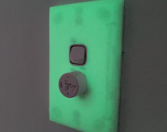 Glow-In-The-Dark Australian style light switch cover glow in the dark two gang