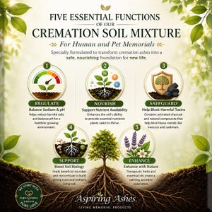 Infographic showing the five essential functions of Aspiring Ashes cremation soil mixture, including balancing sodium and pH, supporting nutrient availability, helping block harmful toxins, boosting beneficial soil biology, and enhancing memorial planting for human or pet cremation ashes.