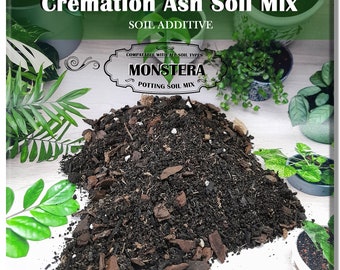 MONSTERA Soil Mix for CREMATION ASHES Indoor Gardening Houseplant Sympathy Plant Ashes Gift for Loss of a Loved One Memorial Plant