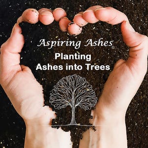 Two hands curve into a heart around dark, textured memorial soil with a white tree illustration and the words Planting Ashes into Trees, symbolizing a living memorial made with cremated remains and Aspiring Ashes soil cremation mixture.