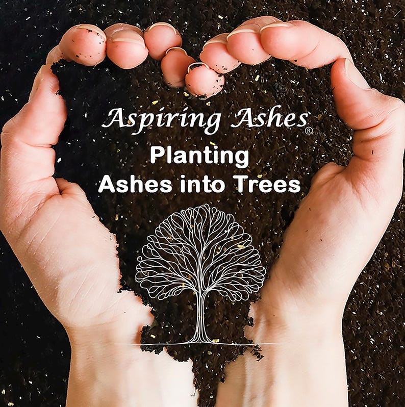 Two hands curve into a heart around dark, textured memorial soil with a white tree illustration and the words Planting Ashes into Trees, symbolizing a living memorial made with cremated remains and Aspiring Ashes soil cremation mixture.