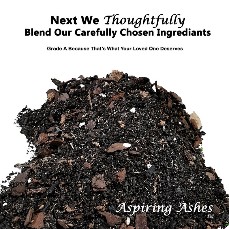 CREMATED ASHES SOIL Mix for Ashes Into Plants Full Sun to Partial Shade