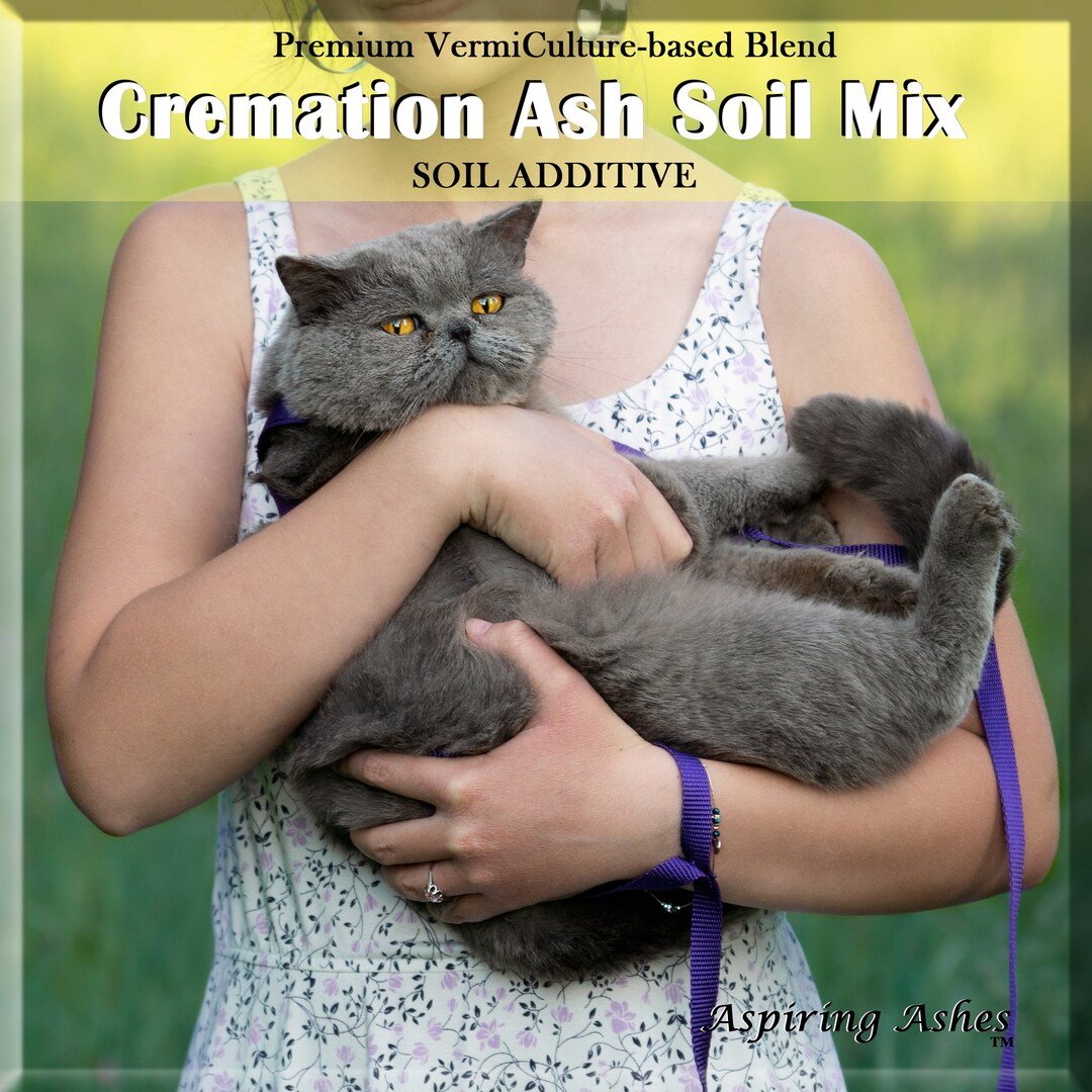 Plant Pet Ashes Plant CREMATION ASH SOIL Mix for Cat Memorial Tree Plant for Loss of Cat